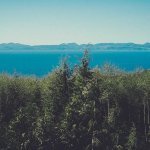 Smartphone Showdown: Flagship Comparison 2026