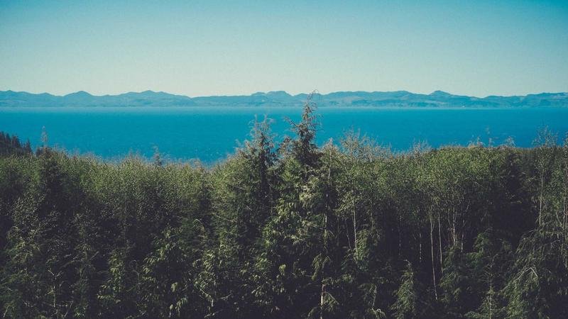 Smartphone Showdown: Flagship Comparison 2026