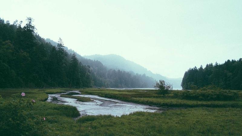 Securing Your API: Best Practices for 2026